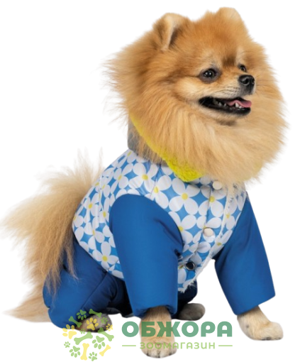 Pet Fashion Tender костюм для собак, для девочек, утепленный_1