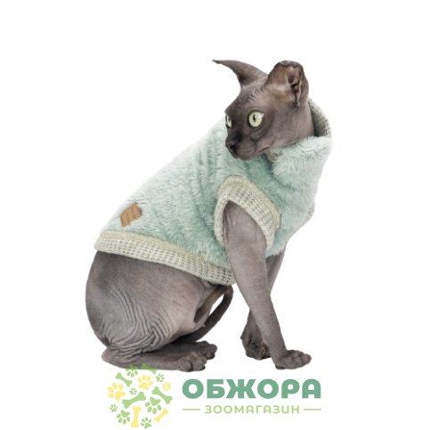 Pet Fashion Tim_1
