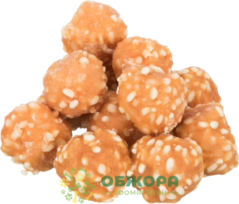 Trixie 31701 Premio Rice Chicken Balls_1