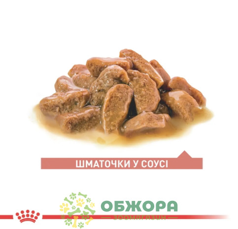 Royal Canin Ageing 11+ влажный корм для котов пожилого возраста 11+, в соусе_1