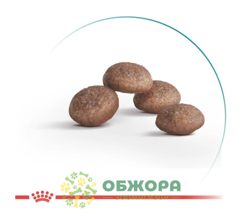 Royal Canin Ageing 11+ Sterilised сухий корм для котів похилого віку_1