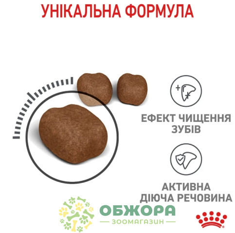Royal Canin Dental сухой корм для котов, для зубов_3