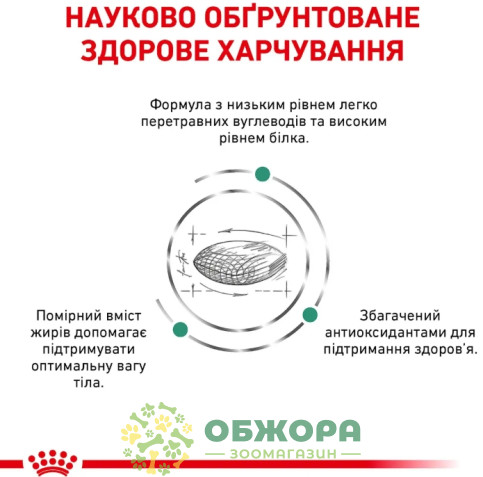 Royal Canin Diabetic сухий корм для котів з цукровим діабетом_2