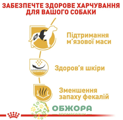 Royal Canin French Bulldog сухий корм для собак породи Французький бульдог_3