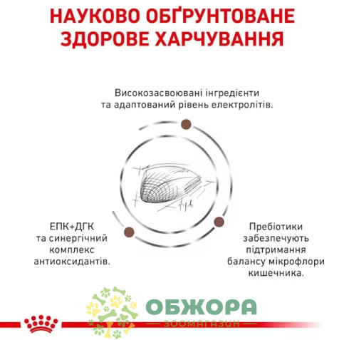 Royal Canin Gastrointestinal Feline сухий корм для кішок при розладах травлення_3