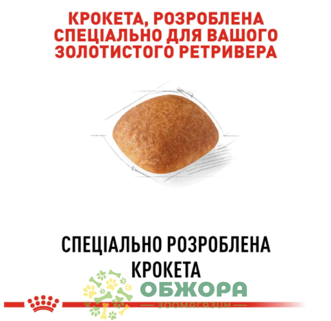 Royal Canin Golden Retriever сухой корм для собак породы золотистый ретривер_2