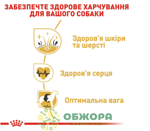 Royal Canin Golden Retriever сухой корм для собак породы золотистый ретривер_3