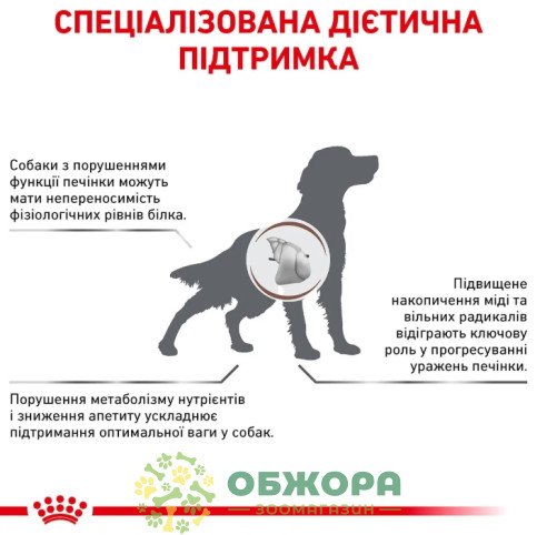 Royal Canin Hepatic Dog сухий корм для собак з захворюванням печінки_5