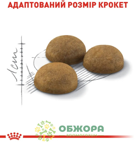 Royal Canin Indoor Long Hair сухий корм для котів проживаючих у приміщенні та для виведення шерсті_2