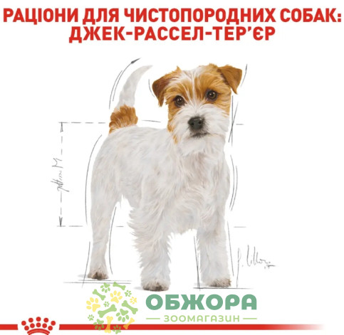 Royal Canin Jack Russel Terrier сухой корм для собак породы Джек-рассел-терьер_4