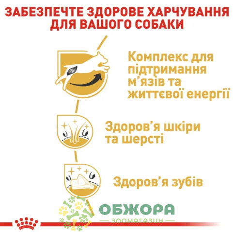 Royal Canin Jack Russel Terrier сухой корм для собак породы Джек-рассел-терьер_2