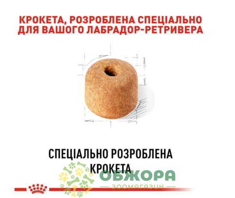 Royal Canin Labrador Retriever сухой корм для собак породы Лабрадор Ретривер_2