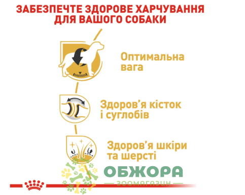 Royal Canin Labrador Retriever сухой корм для собак породы Лабрадор Ретривер_3