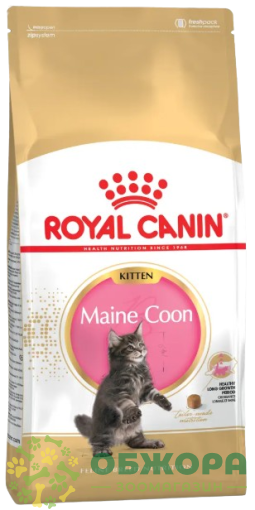 Royal Canin Maine Coon Kitten сухой корм для котят породы Мэйн-кун