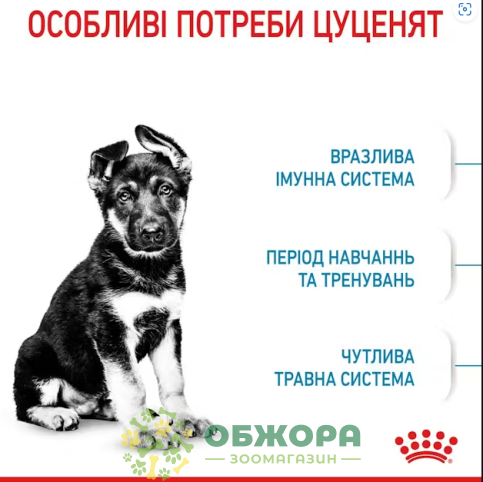 Royal Canin Puppy Maxi 12+3 кг сухой корм для щенков больших пород_2