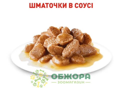 Royal Canin Mini влажный корм для собак малых пород, в соусе_4