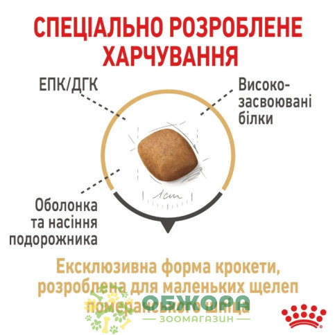 Royal Canin Pomeranian сухой корм для собак породы Померанский шпиц_2