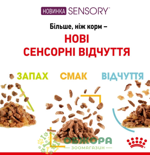 Royal Canin Sensory Feel вологий корм для вибагливих котів, в соусі_4