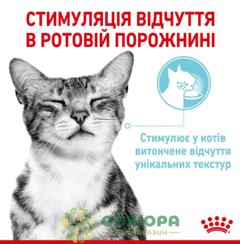 Royal Canin Sensory Feel вологий корм для вибагливих котів, в соусі_5