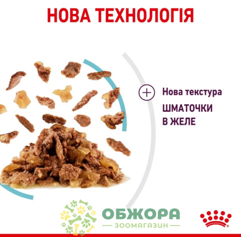 Royal Canin Sensory Feel вологий корм для вибагливих котів, в желе_2