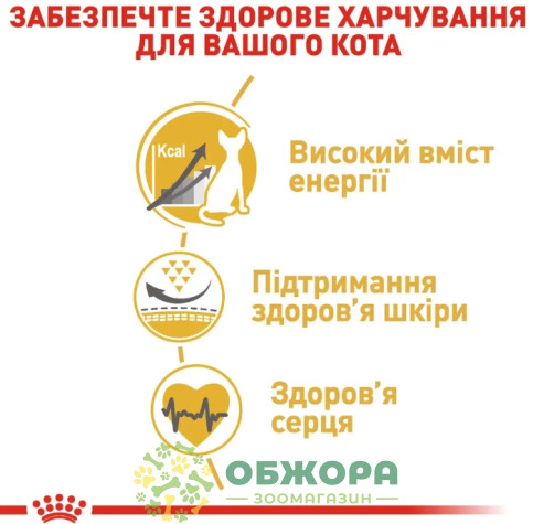 Royal Canin Sphynx сухой корм для котов породы Сфинкс_4