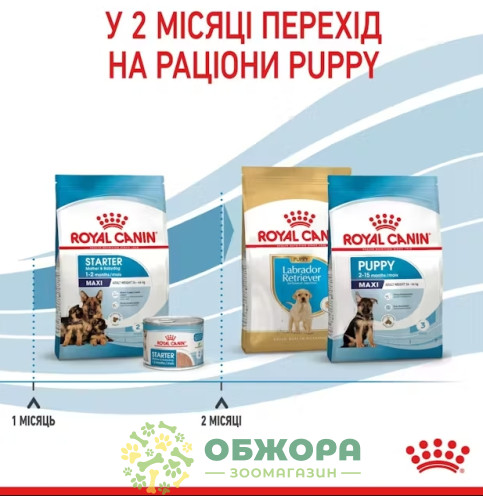 Royal Canin Starter Mother and Babydog Maxi сухой корм для беременных собак и щенков больших пород от 1 до 2 месяцев_5