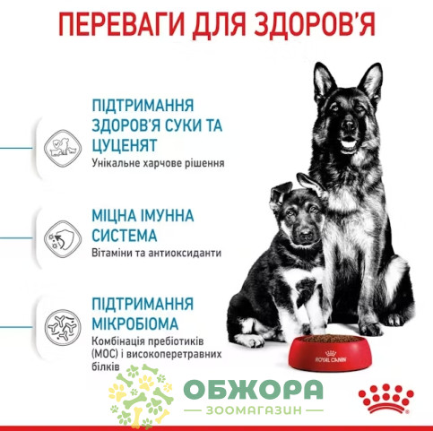 Royal Canin Starter Mother and Babydog Maxi сухой корм для беременных собак и щенков больших пород от 1 до 2 месяцев_2
