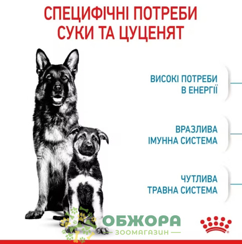 Royal Canin Starter Mother and Babydog Maxi сухой корм для беременных собак и щенков больших пород от 1 до 2 месяцев_3