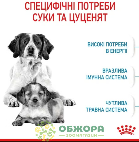 Royal Canin Starter Mother and Babydog Medium сухой корм для беременных собак и щенков средних пород от 1 до 2 месяцев_2