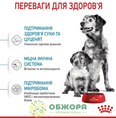 Royal Canin Starter Mother and Babydog Medium сухой корм для беременных собак и щенков средних пород от 1 до 2 месяцев_3