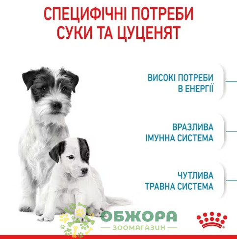 Royal Canin Starter Mother and Babydog Mini сухой корм для беременных собак и щенков малых пород от 1 до 2 месяцев_2