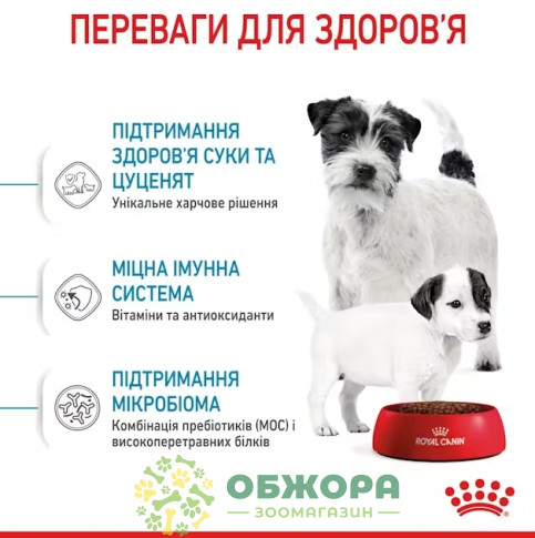 Royal Canin Starter Mother and Babydog Mini сухой корм для беременных собак и щенков малых пород от 1 до 2 месяцев_3