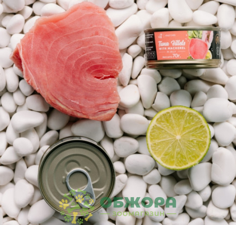 Savory GF Tuna, Mackerel беззерновой влажный корм для котов, в желе с тунцем и макрелью_5