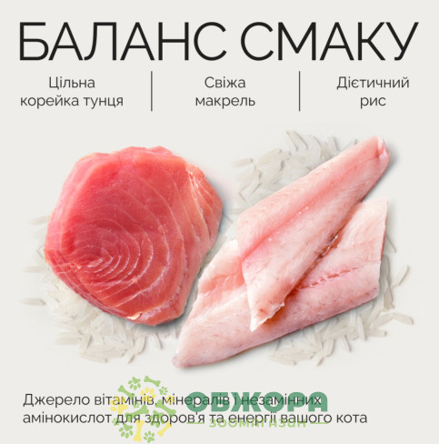 Savory GF Tuna, Mackerel беззерновой влажный корм для котов, в желе с тунцем и макрелью_6
