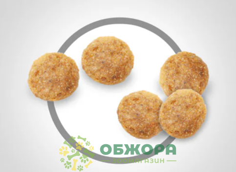 Hill`s SP Sensitive Stomach, Skin Chicken сухой корм для котов с чувствительным пищеварением и кожей, с курицей_2