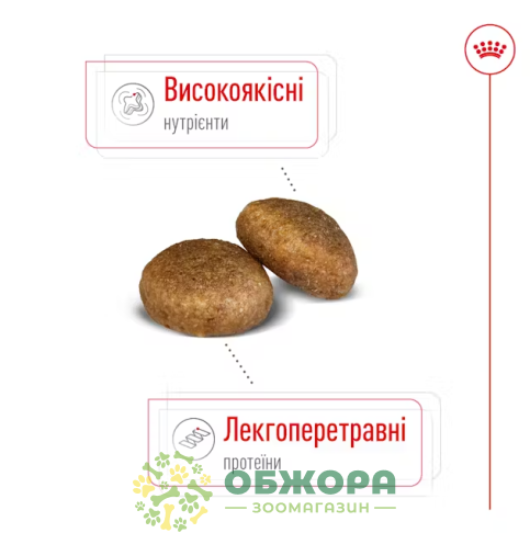 Royal Canin Maxi сухой корм для собак больших пород_1