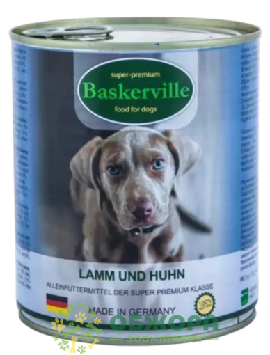 Baskervile Lamm und Huhn_1