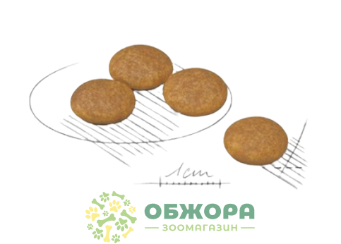 Royal Canin Dermacomfort Mini сухой корм для собак миниатюрных пород, для кожи и шерсти_1
