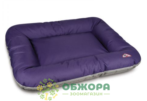 Pet Fashion Askold