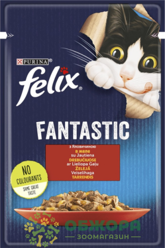 Felix Fantastic