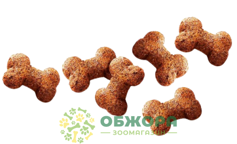 Carnilove Grain Free Heart Healt Ostrich and Blackberries_1