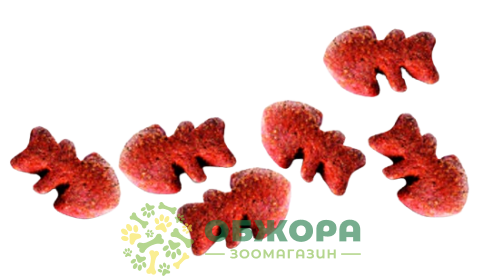 Carnilove Grain Free for Strong Immunity Mackerel and Raspberries_1