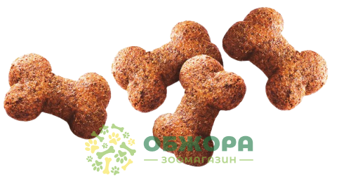 Carnilove Grain Free Active Dogs Wild Boar and Rosehips_1