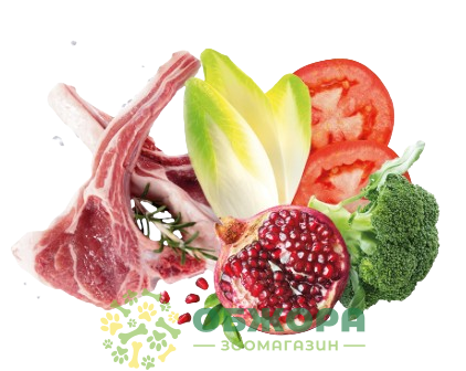 Exclusion MonoProtein Medium Lamb сухой безглютеновый корм для собак средних пород с ягненком_1