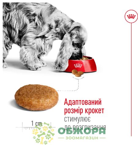 Royal Canin Medium 3.2+800 г сухой корм для собак средних пород_2