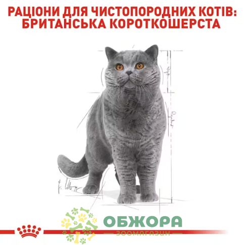 Royal Canin British Shorthair 3.2+800 г сухой корм для котов породы Британская короткошерстная_3