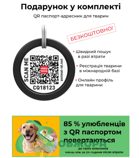 Collar WauDog Glamour_5