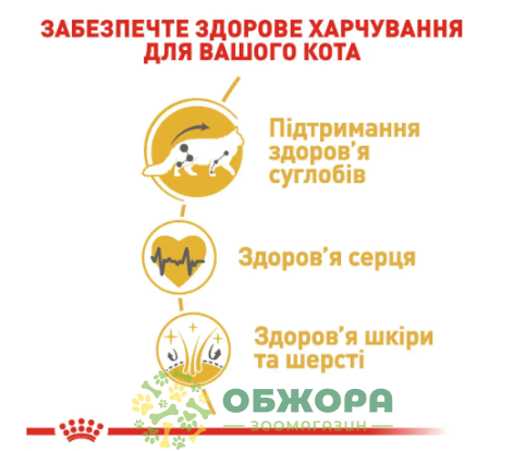 Royal Canin Maine Coon_2