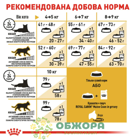 Royal Canin Maine Coon_3