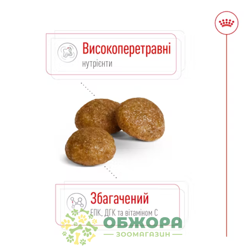 Royal Canin X-Small сухой корм для собак миниатюрных пород_2